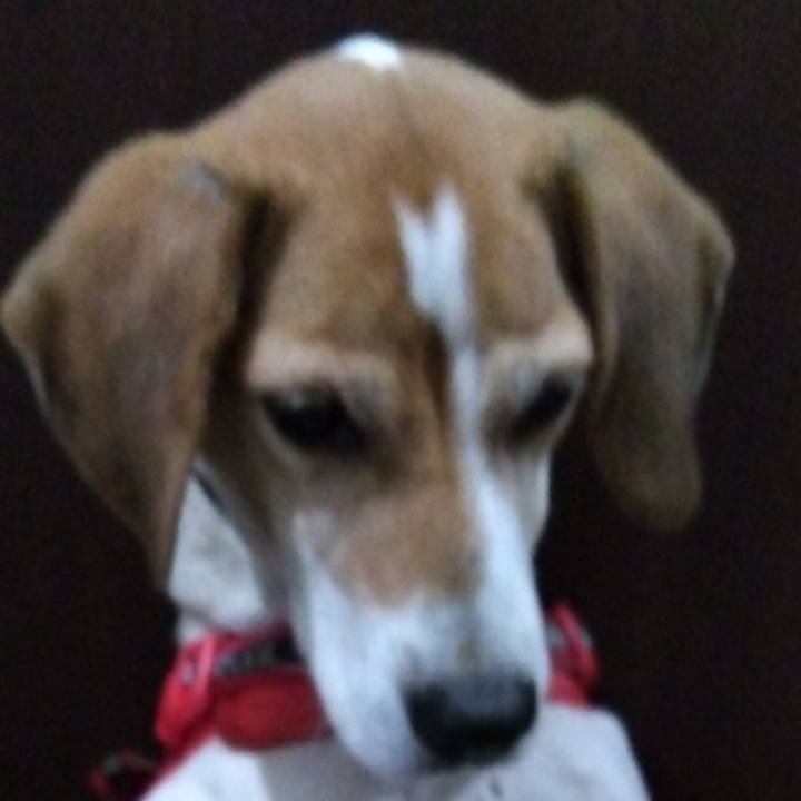 0dc24609 3623 4726 b1d7 fe098be18259 1702126072982