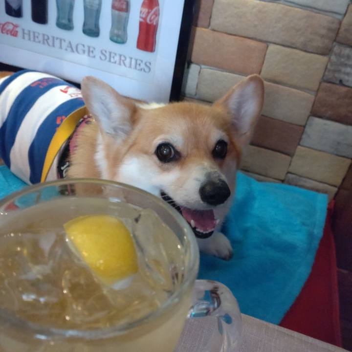 0dc257de be8f 473a a993 06ce399ab687 1689600392136