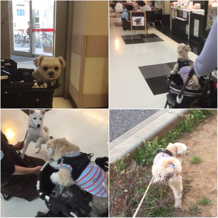 0dc25beb 8870 400b 8e59 d167b9230b76 1554548830951