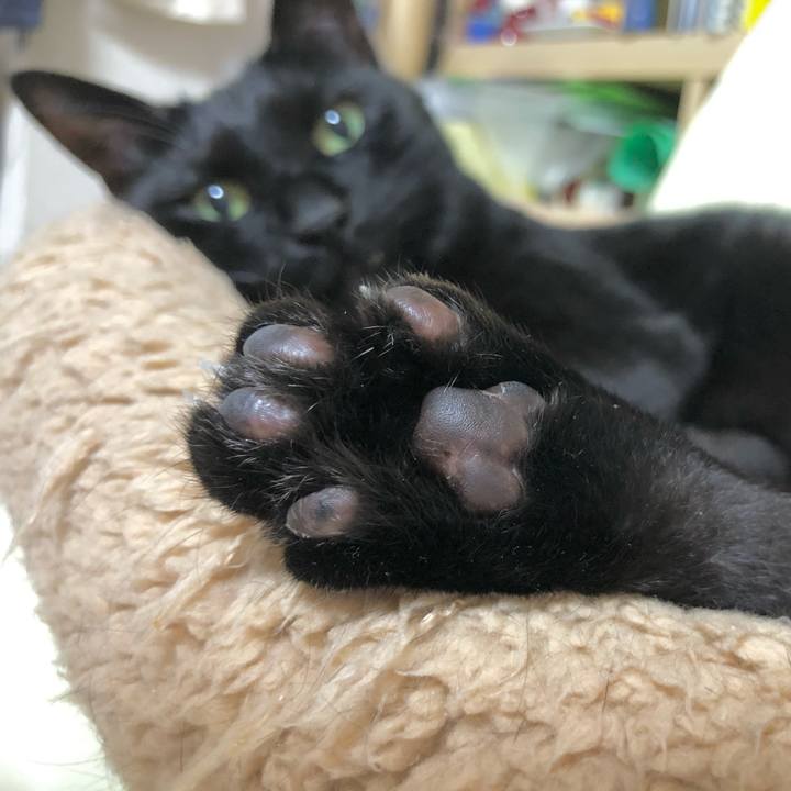 0dc25f34 b9a4 4c98 8afa 74b038c09ca7 1617009949527