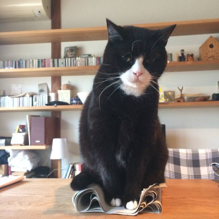 0dc28d63 2f1b 4c1f bd41 93a37a1510fc 1517529173849