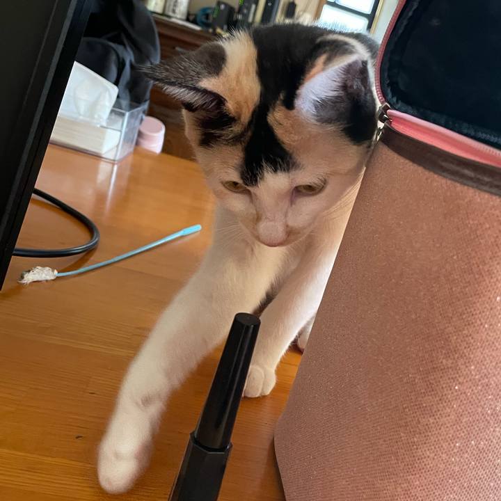 0dc2b6e6 6379 4da6 aa59 eb0126241aab 1677372276664