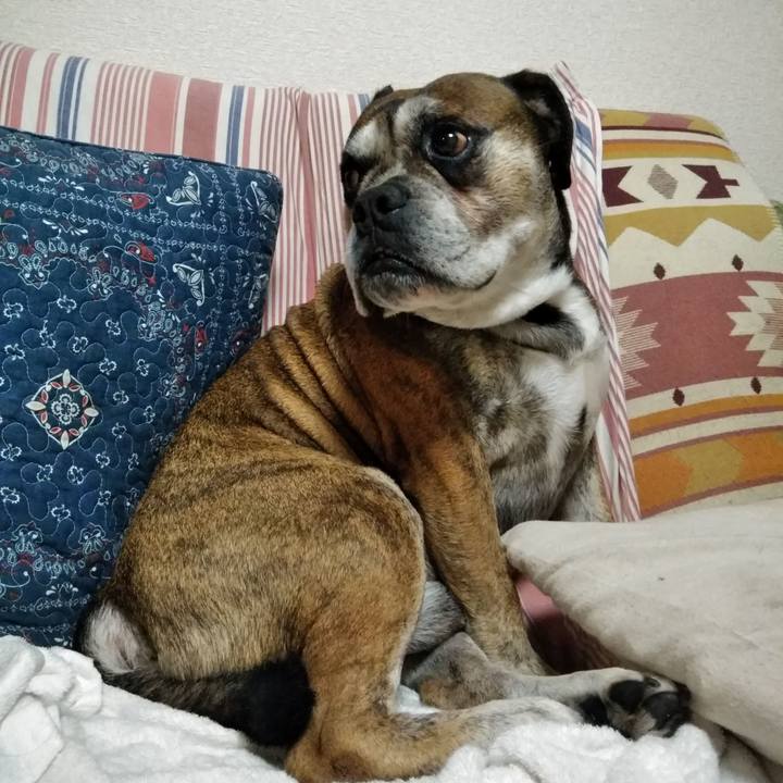 0dc2dd0a 9953 4ffa 83f6 32b6b44f26a1 1532770502410