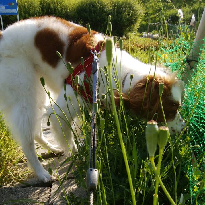 0dc2f450 3054 4ca9 94ba 73a84a5df3a7 1525436974316