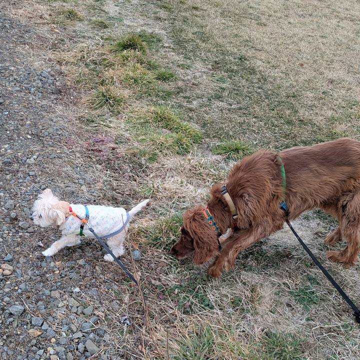 0dc30a1d 5147 4680 b90e c2875d6a720b 1772695695942