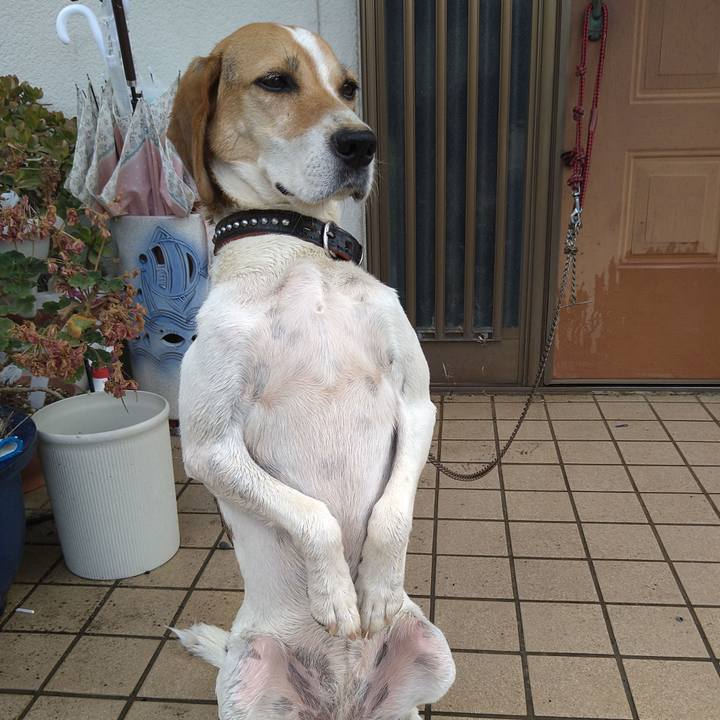 0dc32f84 d22e 46a0 a89b faf510316c88 1659081223270