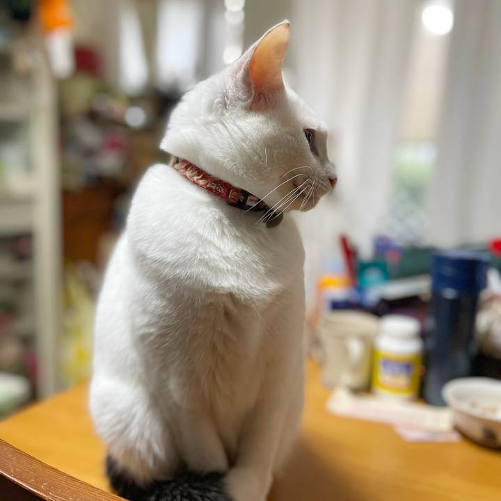 0dc33a5b ffd2 49b6 a834 5bf48bbc6113 1766822410389