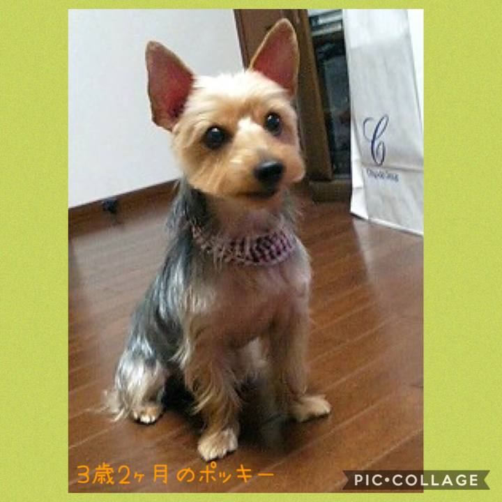 0dc33e7a 8db7 41c5 8be1 33d67dc56e19 1549757161639