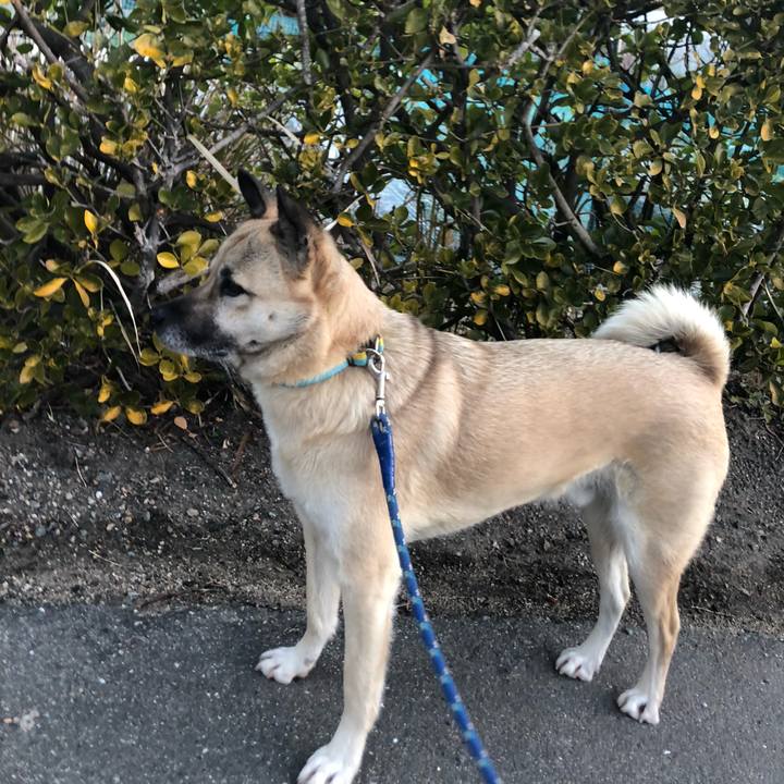 0dc33f16 f02a 4c03 aa57 f98f06d9b77d 1611144708014