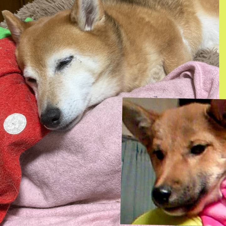 0dc34d69 985b 4681 b517 3b372d2ecc80 1680434211951