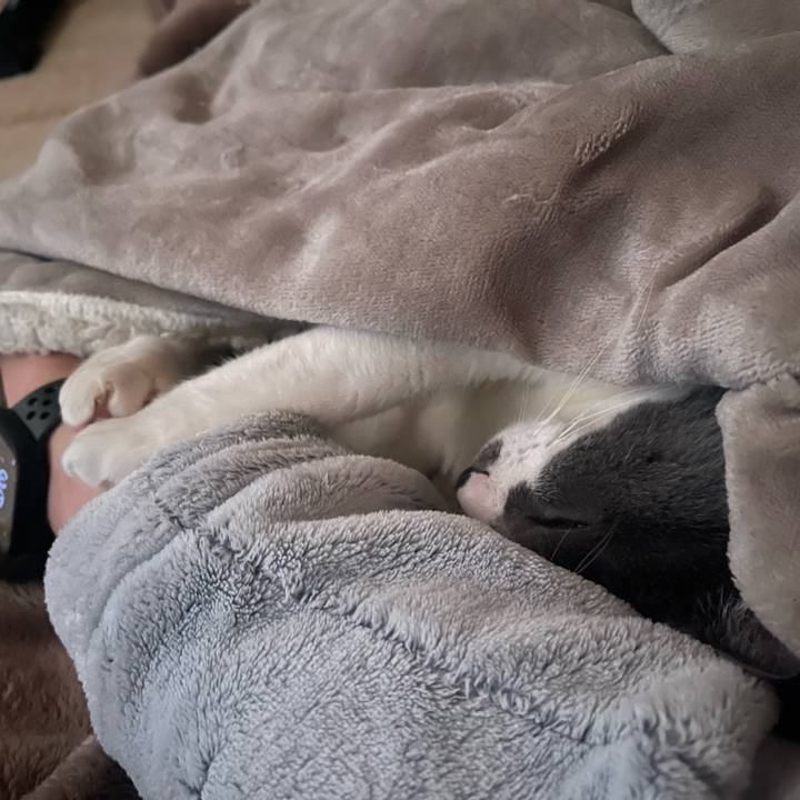 0dc35875 3640 45dd bc24 a3275c6a2039 1734825253847