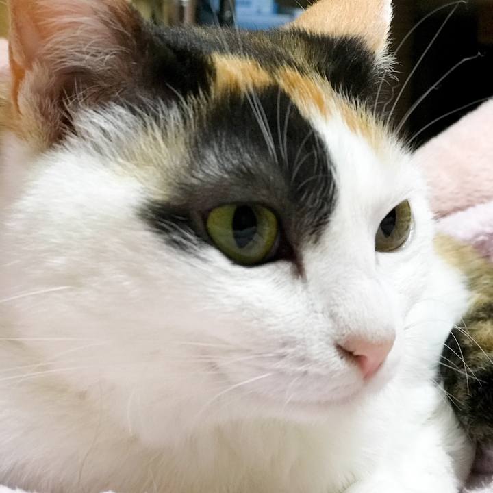 0dc362d5 fdc9 4717 8107 30000975cff1 1527691287453