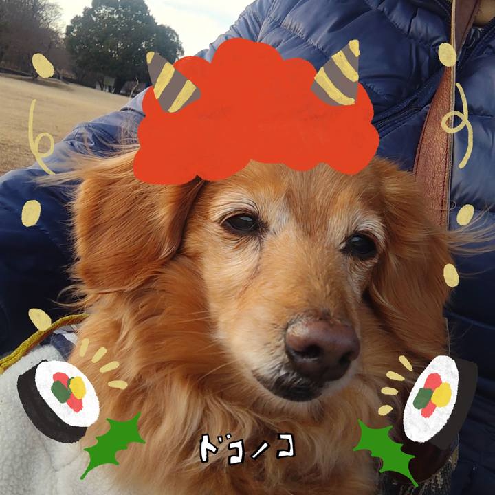 0dc3a3f1 f2fe 47be 88df 20685b3ee7fa 1706868884957