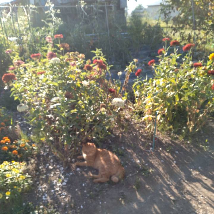 0dc3b93f 100b 488e 9816 1b9807e6f162 1693525632590