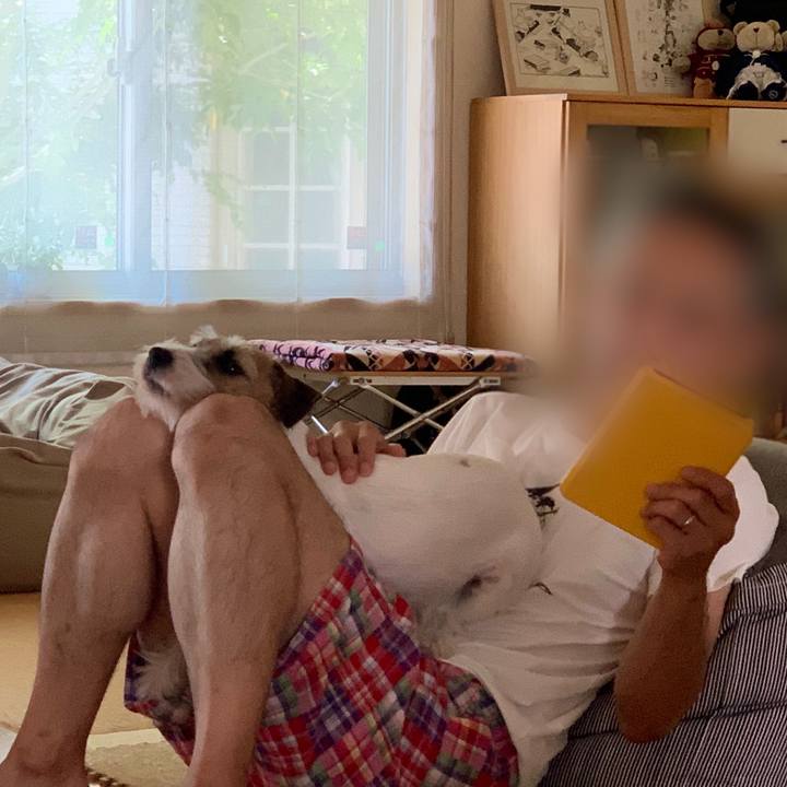 0dc3d740 f303 46e6 8005 fbc788b677ca 1597550005146