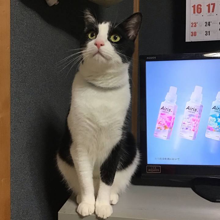 0dc43dc1 3096 439c 82d7 a09ed1c470ba 1688474543452