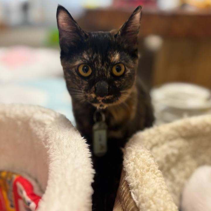 0dc44e09 7855 4ecc 942b a51ff188c7d0 1767007527744