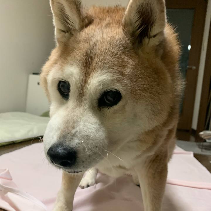 0dc45922 6863 41e6 b3a6 6ccf413f9217 1666090322306