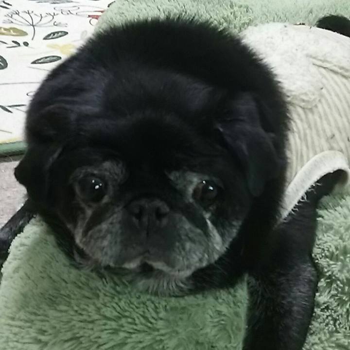 0dc45c76 6fc5 4222 84ba ab2c39a03413 1543051064490