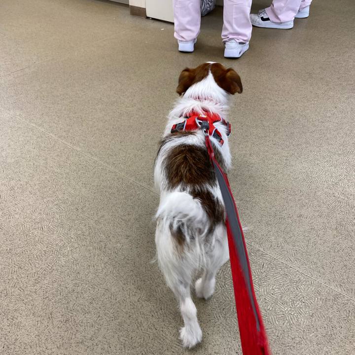 0dc48392 fc59 417c 8b85 68ddec594acd 1645331426549