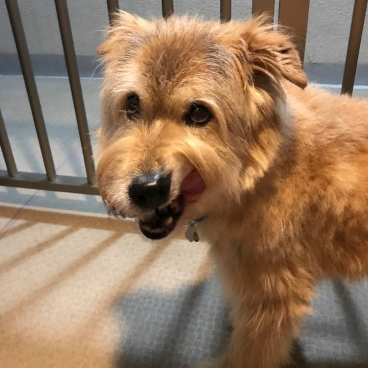 0dc487e1 9411 40fe a56e b3b1ae05242b 1631011543053