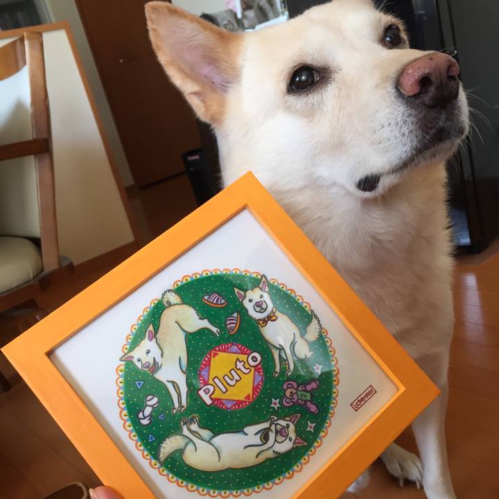 0dc4a19b 16d8 4bda 9e00 a9df32d5f406 1509503308797