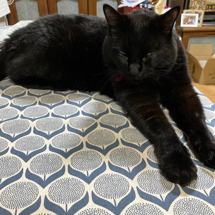 0dc4cf2d 0359 40b5 ba80 a50cb836cc0a 1662939032861