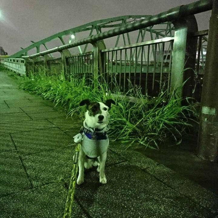 0dc4e01d 7b3e 4443 9f49 42b1d0148ee2 1507893326402