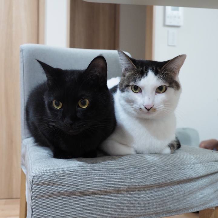 0dc4e9f2 802d 4302 bd88 a667028fc83f 1538004800131