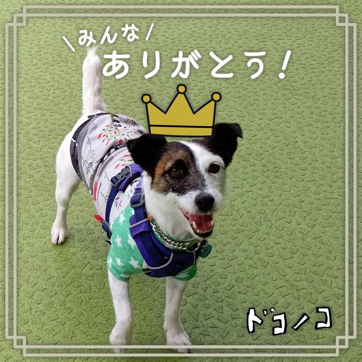 0dc50483 207c 45bd 84f8 cfaddf030fe9 1622852928333