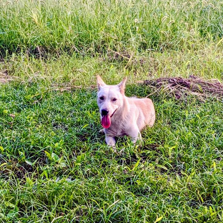 0dc5235c fede 4303 ad0d e897c0aa4f13 1758013822545