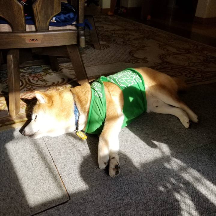 0dc5b458 5b6a 491f 95a4 7f44d6fd6453 1587681211846