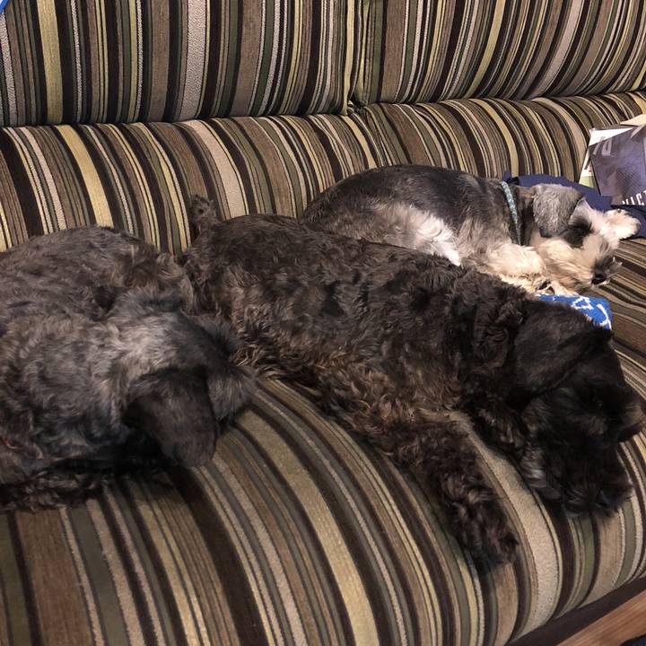 0dc5b770 a889 4323 b45f ef6283e31081 1539866932525