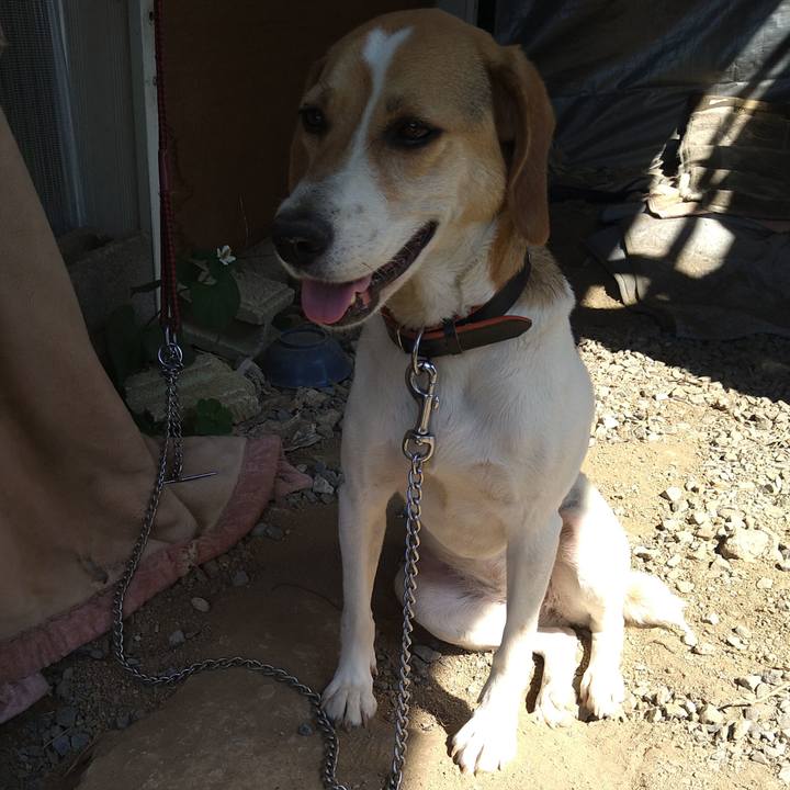 0dc5e5fe 2c4e 4f6b 9f47 bcc5592a8be7 1623304482365