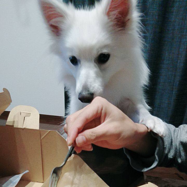 0dc5fffd bca7 4d89 b774 b6515e76dbdd 1524179214668