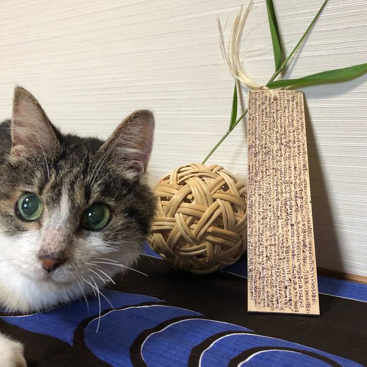 0dc60120 bdb0 40c1 8a92 37701ec607e6 1530919121124