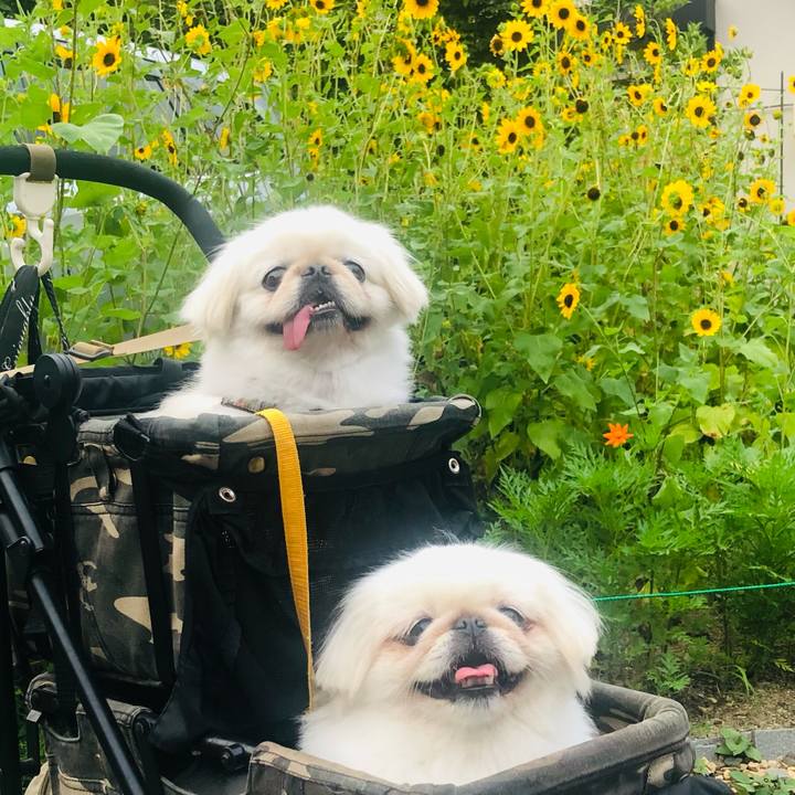 0dc6584b 7649 4a7e 8576 c6c1258f2ba3 1626822136105