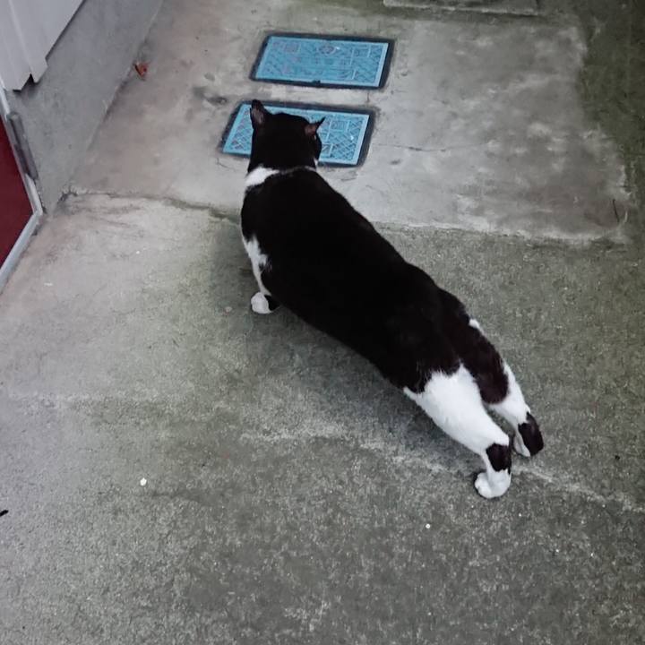 0dc6635a c1b6 4456 a97a ac7e9ad7b8a6 1631091324958