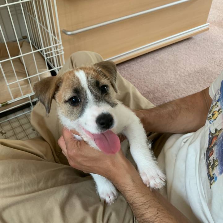 0dc68d29 cec0 4f7c 8399 85897c7a5f5b 1559364980667