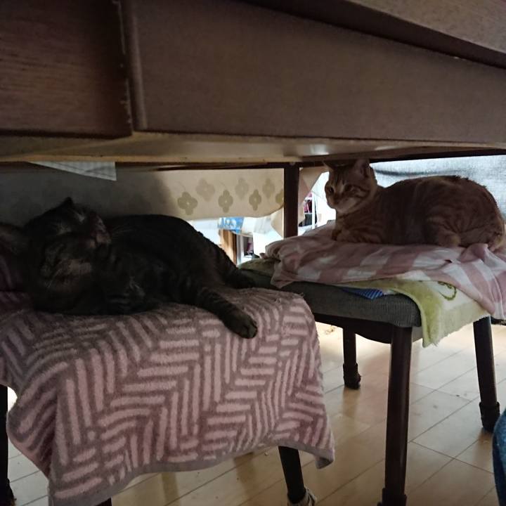 0dc6af1a b131 40ba b81a 774ae7bf784b 1642540640977