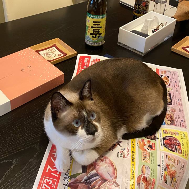 0dc6bc05 c914 4af9 aeaa b02c753087e6 1601889364454