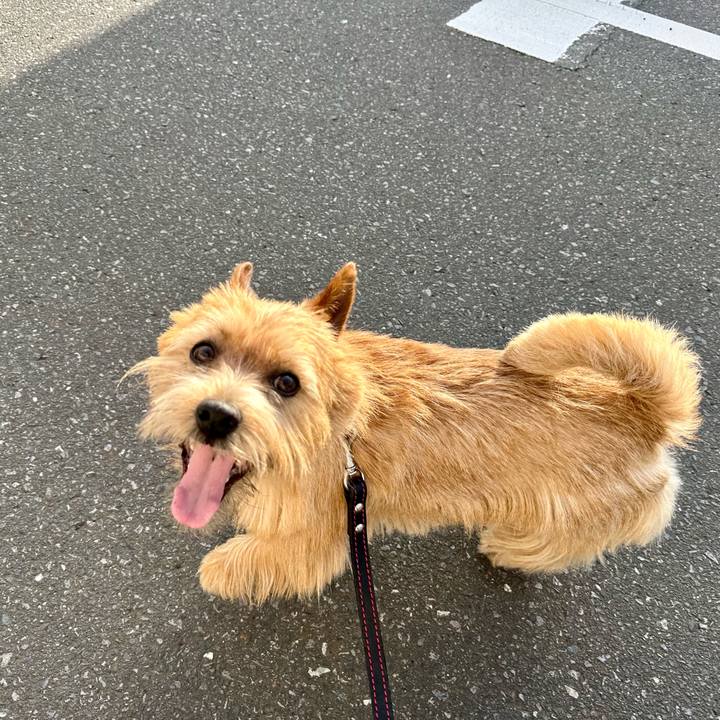 0dc74885 42b0 4c68 a37c 3b3db19787d2 1743918012748