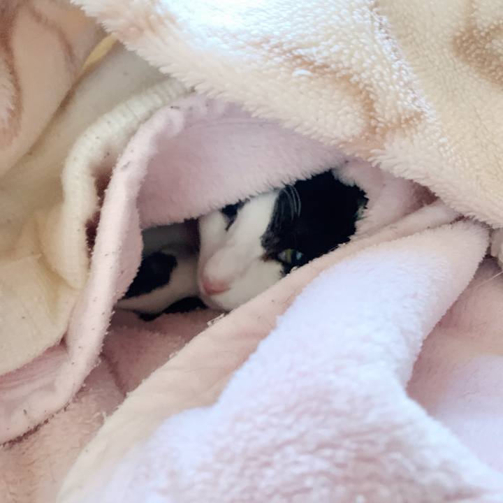 0dc7d74b 296e 4e9a a4bb d21590e97357 1542937787970