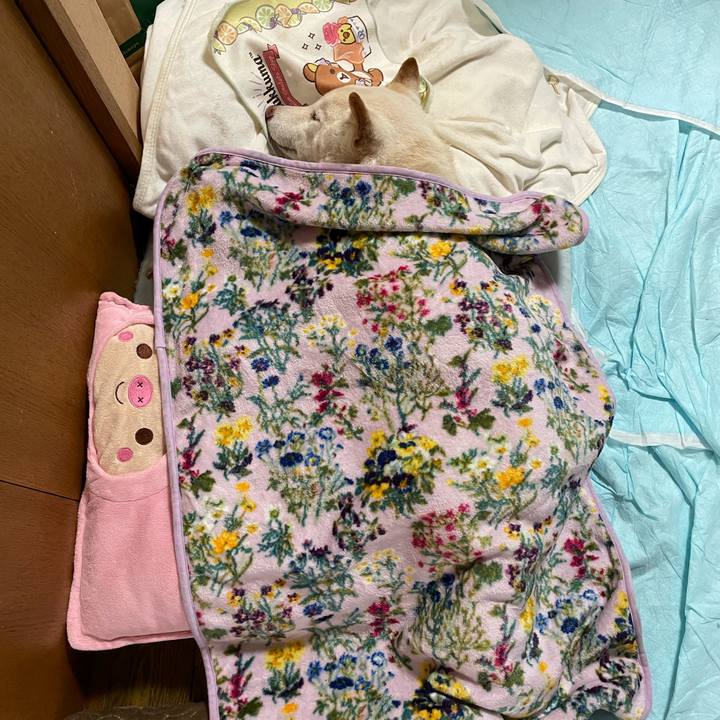 0dc7fe8a ae4b 491d 8c03 2290202e2ada 1634780556604