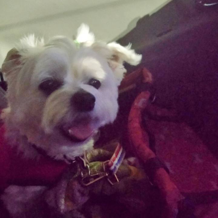 0dc81365 16f3 4c96 b1c4 3add87a58b88 1743178890792