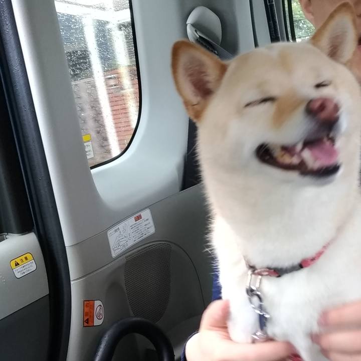 0dc86b44 be82 495d a15f 149d12df562a 1562480972071