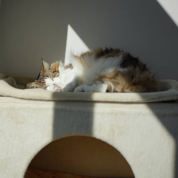 0dc86dbb 0f4a 4198 9ee6 b2771aa1857a 1707370555772