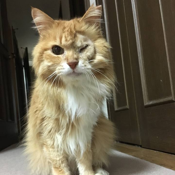 0dc87f8e 16b0 4bf7 af13 5e9b7555e597 1520159607645