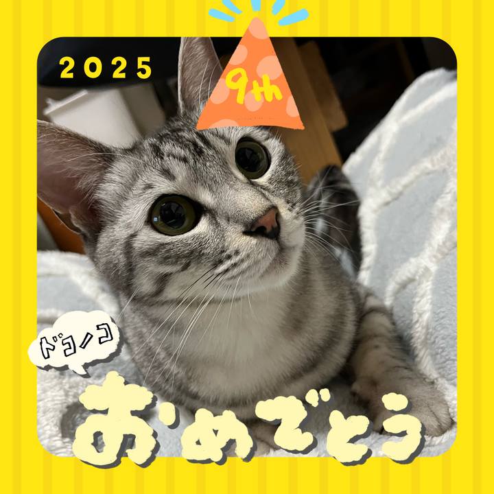 0dc88103 7935 4e16 9c6f 8c7552dc0b44 1749090962229