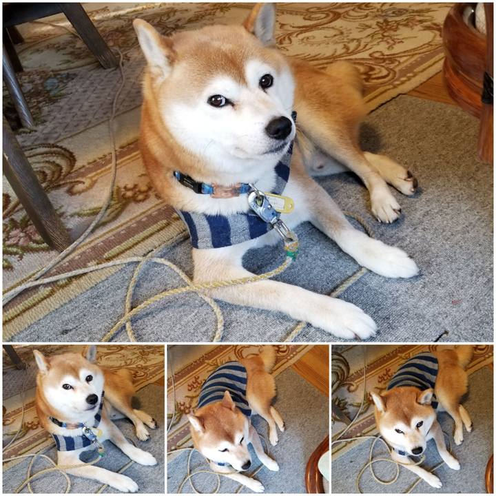 0dc8b7a7 ce63 4ff0 ae1f 4ccd4121aabe 1577839562929